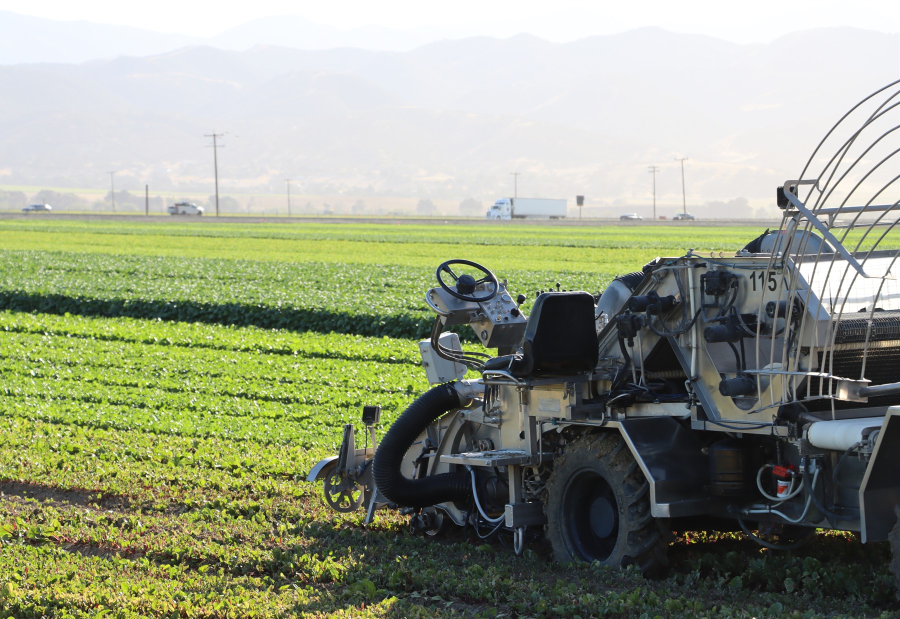 Harvesting equipment operating in green produce fields